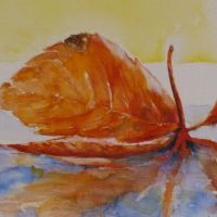 Herbstblatt auf dem Wasser<br />                               50x50